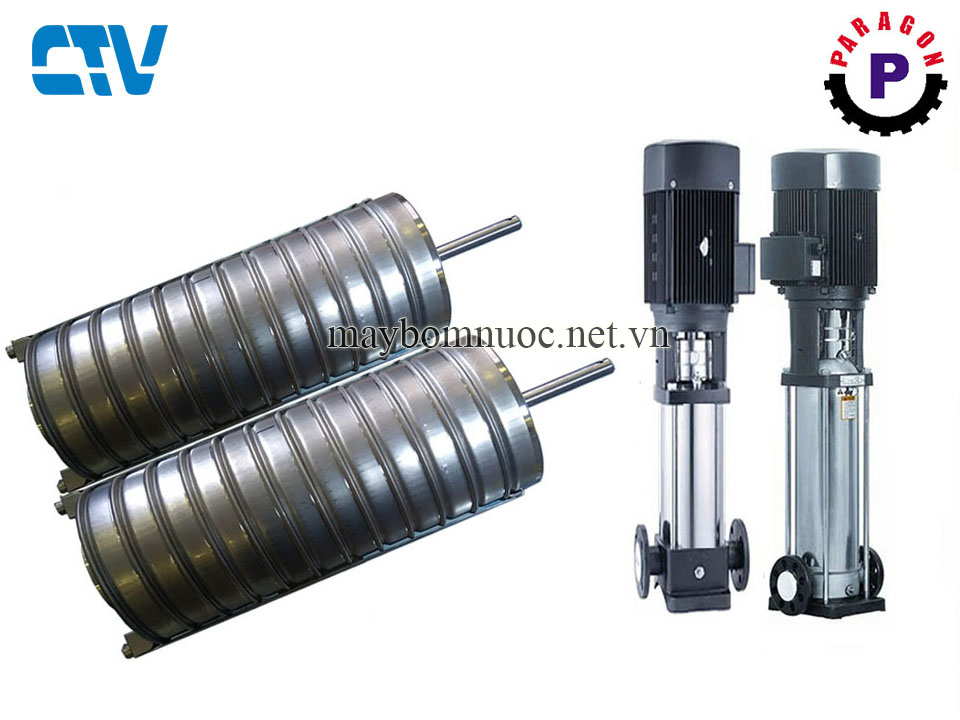 Bơm Paragon - Ruột buồng bơm trục đứng Paragon PV8-20